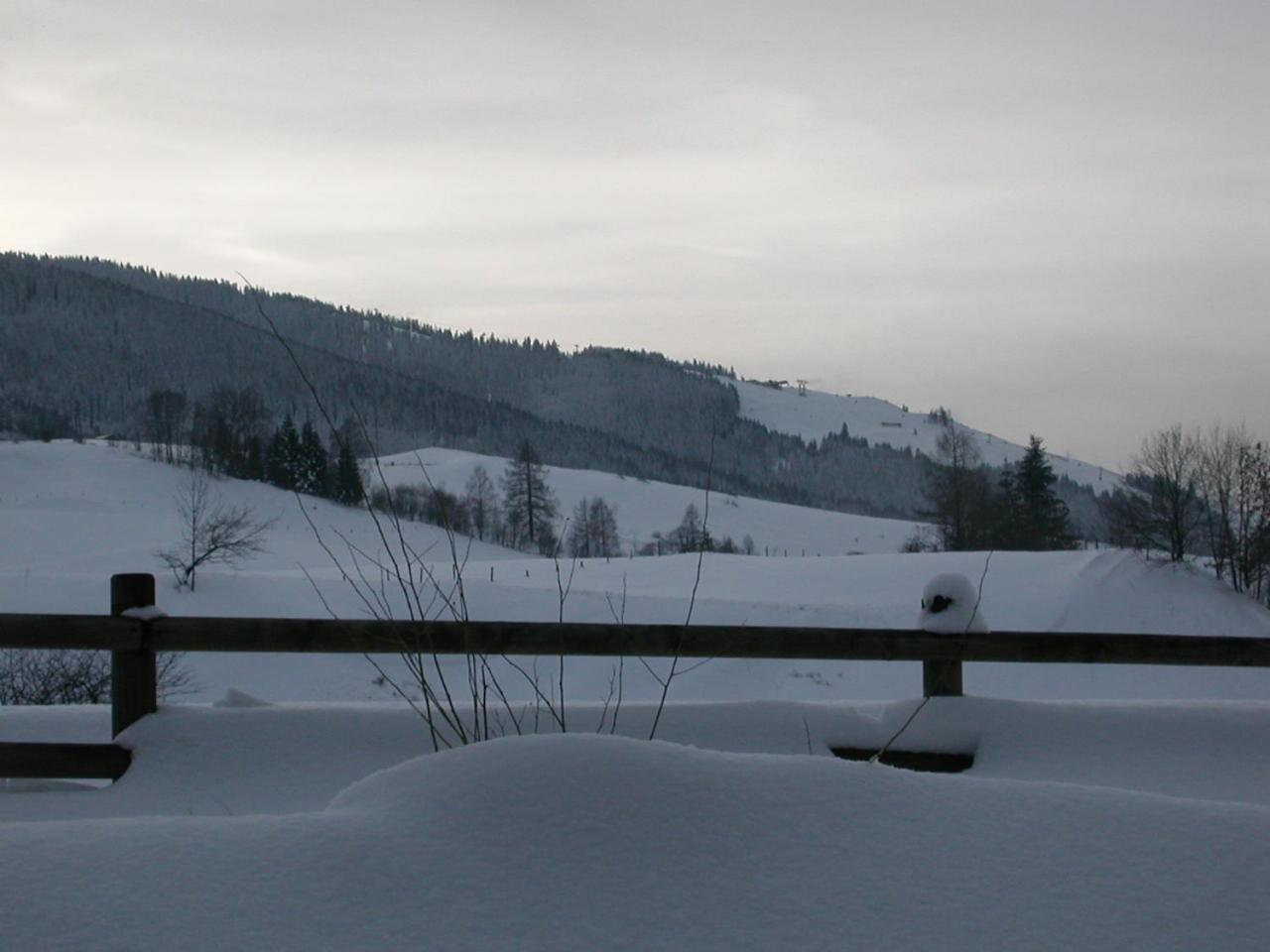 Gourmet-Hotel Grünwald Leogang Buitenkant foto